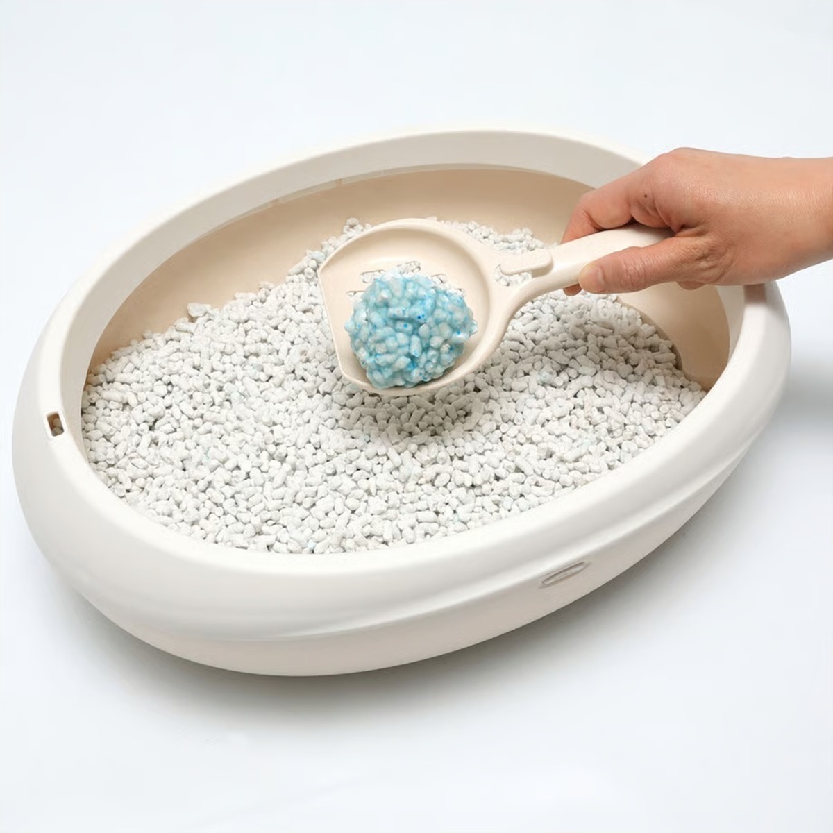 きなこさん専用 コーチョーストア