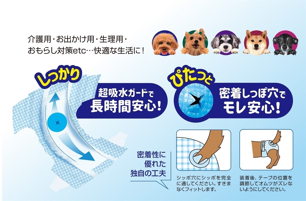 コーチョーストア 商品詳細