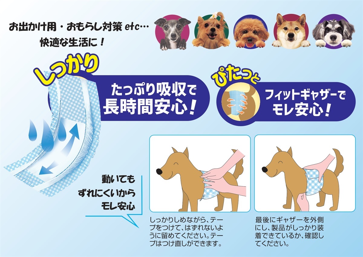 コーチョーストア 商品詳細