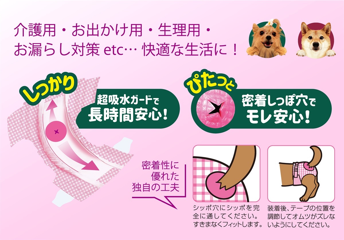 コーチョーストア 商品詳細